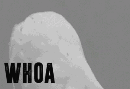 Whoa Woah GIF