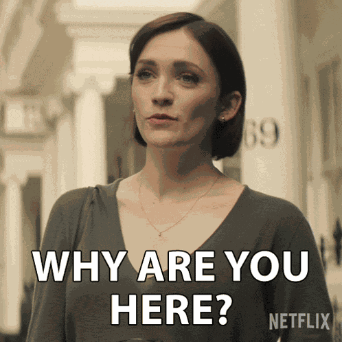 Why Are You Here Kate Galvin GIF