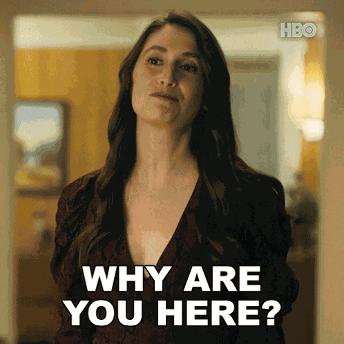 Why Are You Here Katie GIF
