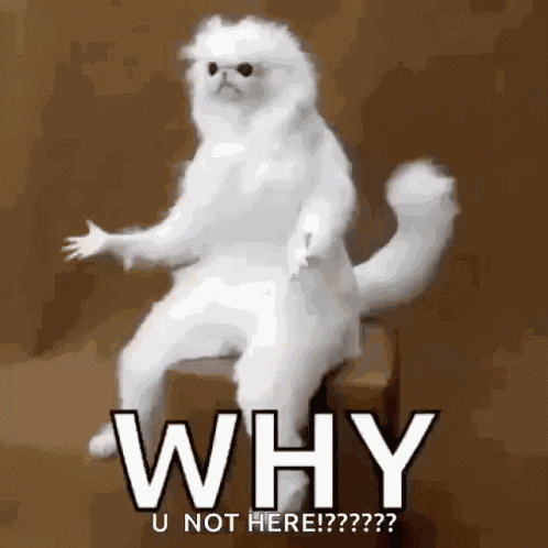 Why But Why GIF