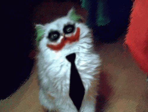 Why So Serious Cat GIF