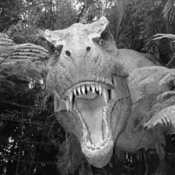 Wiggleframe T Rex GIF
