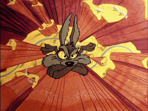 Wile E Coyote GIF