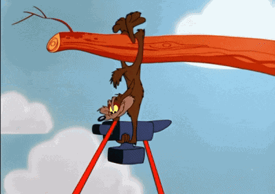 Wile E Coyote GIF