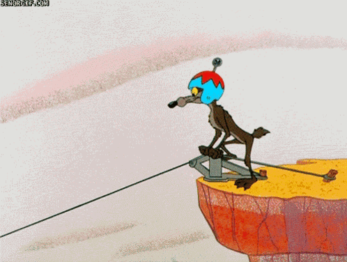 Wile E Coyote GIF