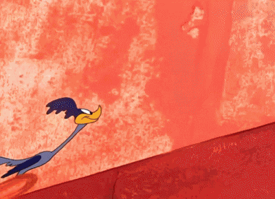 Wile E Coyote Road Runner GIF