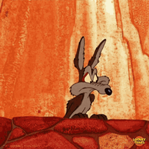 Wile E Coyote Roadrunner GIF
