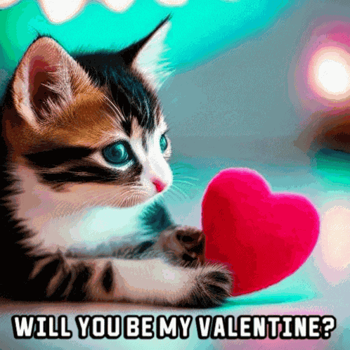 Will You Be My Valentine Happy Valentines Day GIF