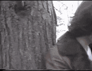 William Hellfire Infamous Bondage Murders 1 GIF