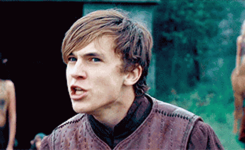 William Moseley Peter Pevensie GIF