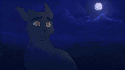 Wind Clan Warrior Cats GIF