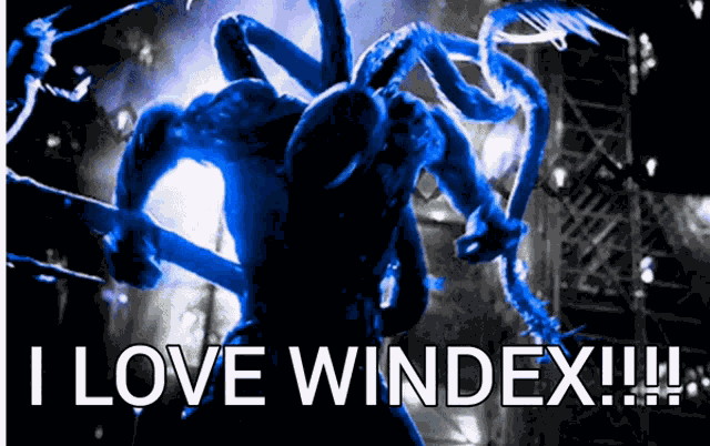 Windex I Love Windex GIF