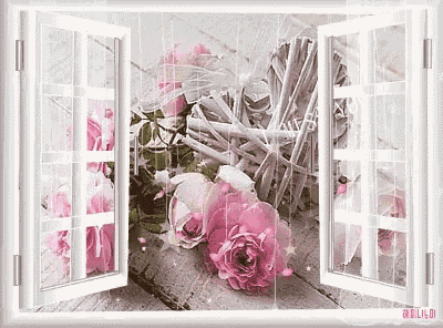 Window Flowers GIF