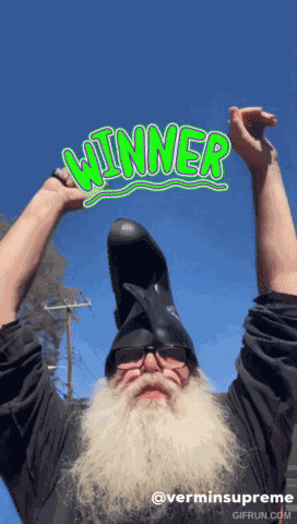 Winner Winner Chicken Dinner Winners GIF