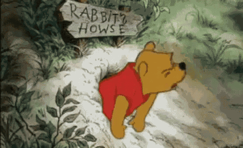 Winnie The Pooh Rabbia Oh Rabbia Mannaggia Uff Uffa Maledizione Mannaccia Accidenti GIF