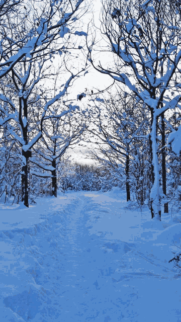 Winter Meme GIF