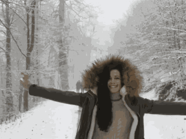 Winter Snow GIF