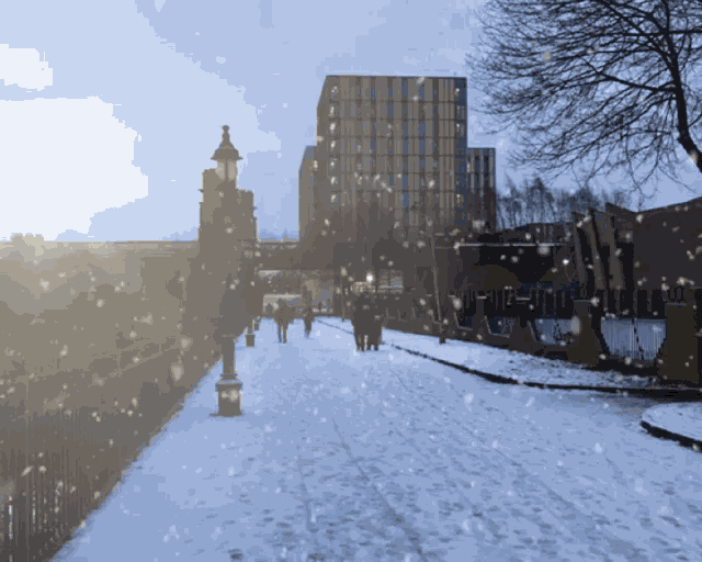 Winter Snow GIF