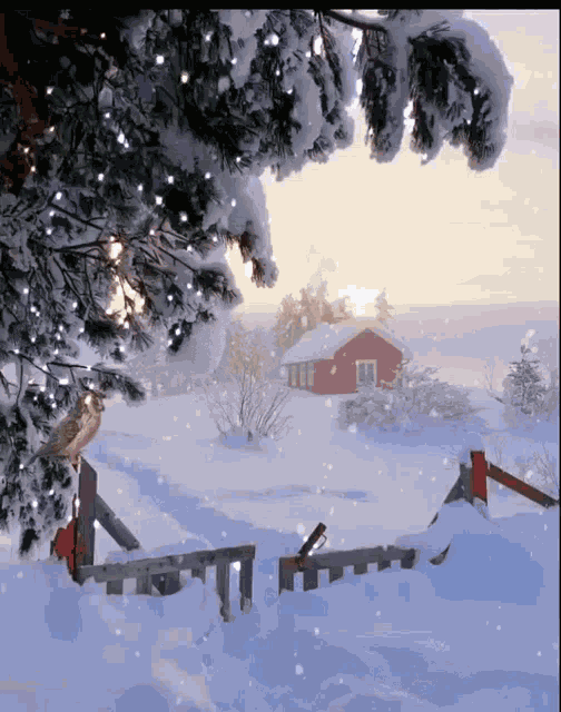 Winter GIF