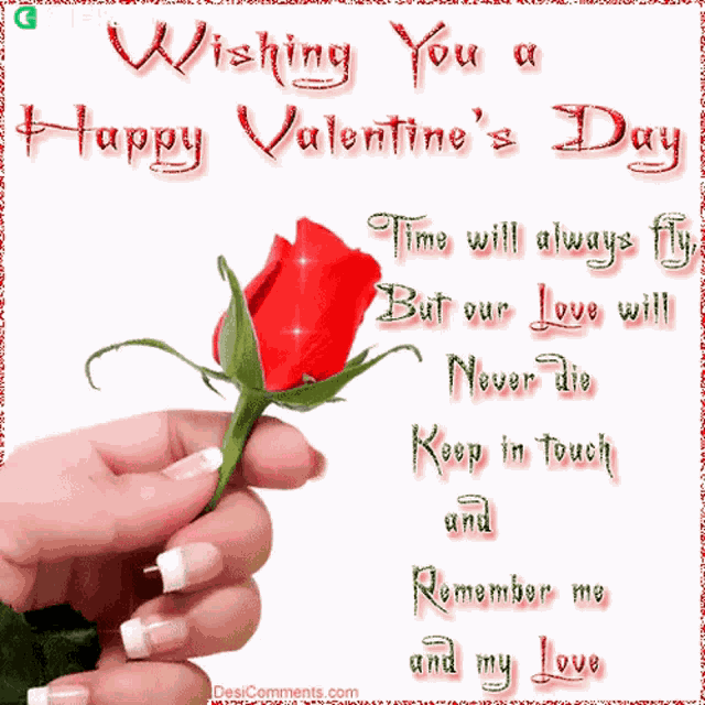 Wishing You A Happy Valentines Day Gifkaro GIF