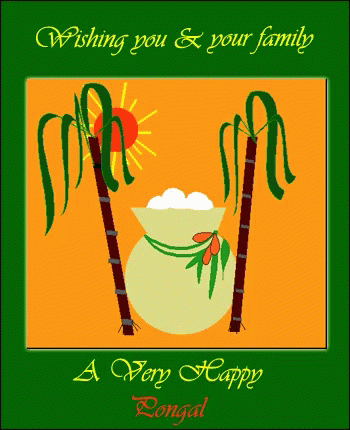 Wishing You And Your Family Happy Pongal GIF