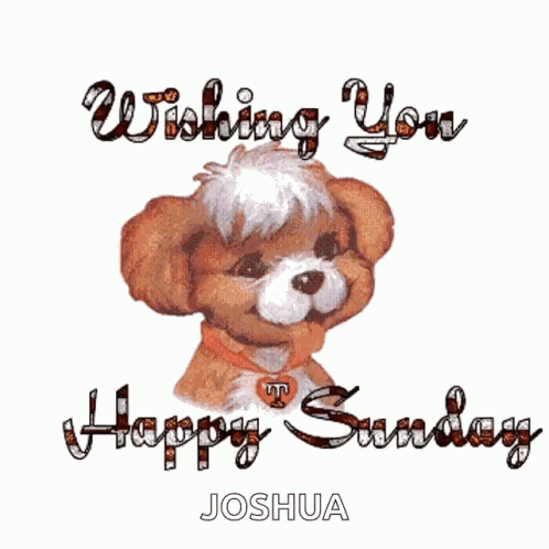 Wishing You Happy Sunday Puppy GIF