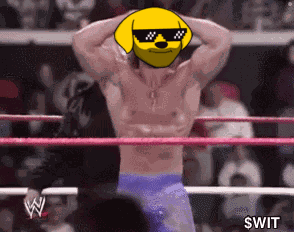 Wit Deal With It GIF