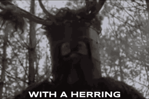 With A Herring Monty Python And The Holy Grail GIF