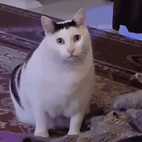 Without Words Speechless GIF