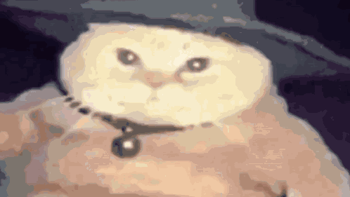 Wizard Cat Lightning GIF