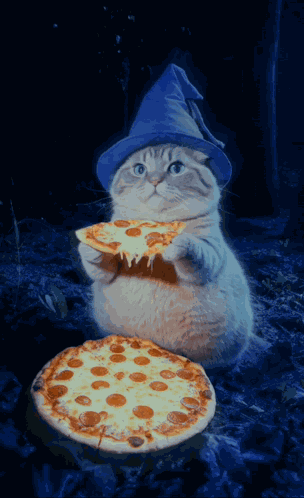Wizard Cat Meme GIF