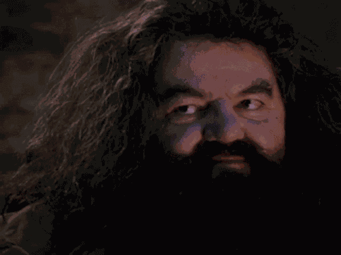 Wizard Harry Potter GIF