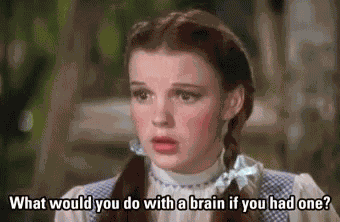 Wizard Of Oz Dumb GIF