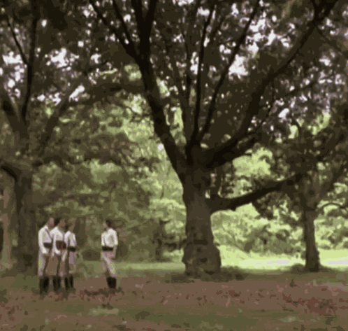 Wkuk Whitest Kids U Know GIF