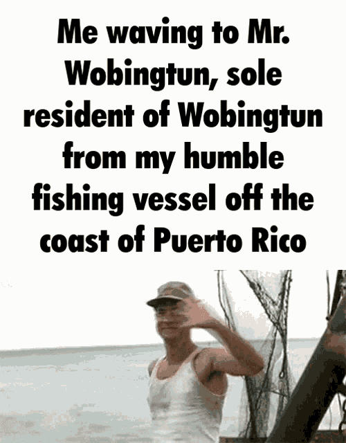 Wobingtun Mr Wobingtun GIF
