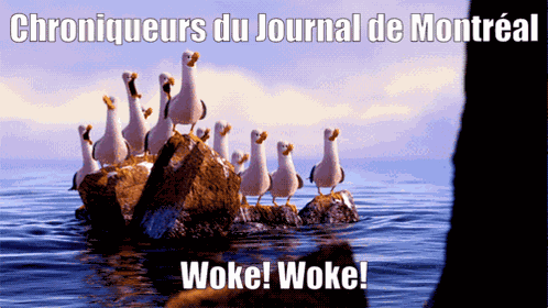 Woke Jdm Jdq Journal Qub Quebecor GIF