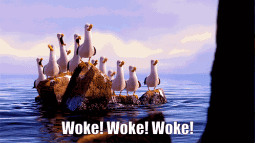 Woke Wokisme GIF