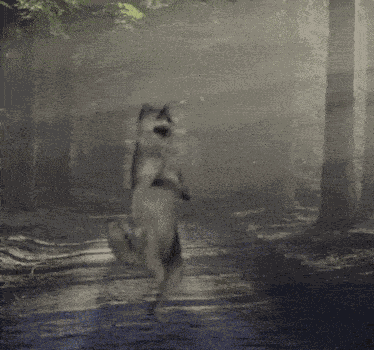 Wolf Dance Dance Wolf GIF