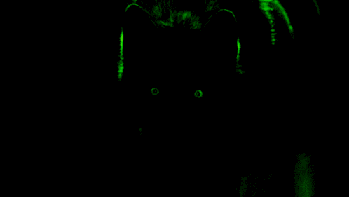 Wolf Green Eyes GIF
