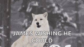 Wolf Howl GIF