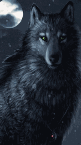 Wolf GIF