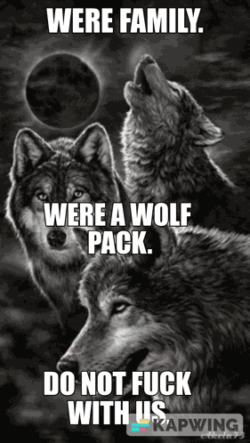 Wolf Pack Family GIF