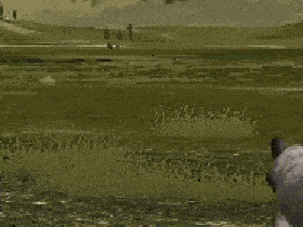 Wolfquest Wolfquest Classic GIF