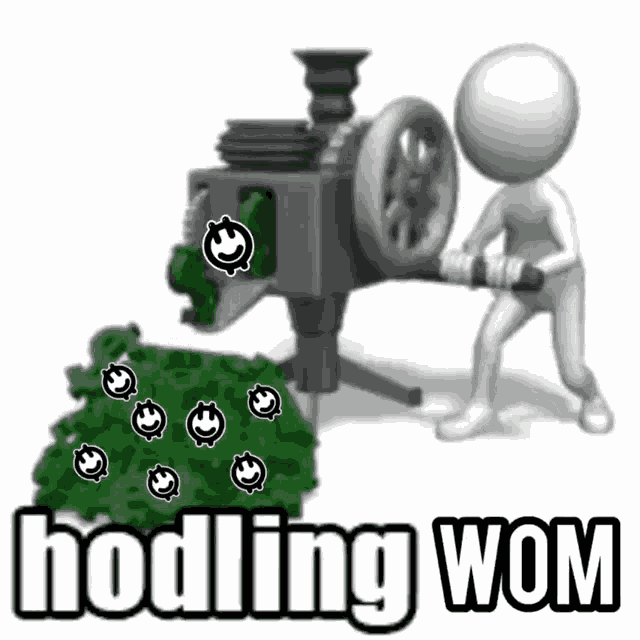 Wom Womprotocol GIF