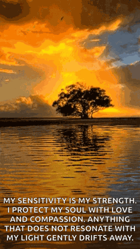 Wonders Of Nture Nature GIF