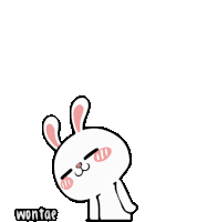 Wontae Hiper Rabbit Sticker