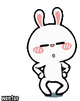 Wontae Hiper Rabbit Sticker
