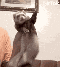 Woo Dance GIF