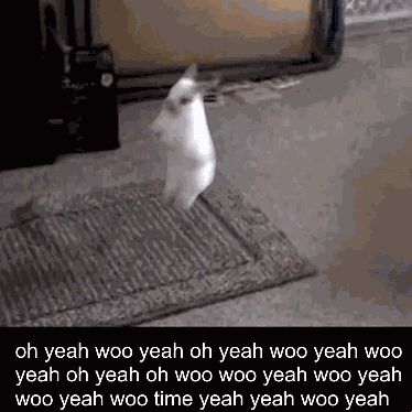 Woo Time Tennis Woo Yeah GIF