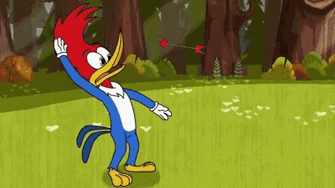 Woody Woodpecker Crazy Bird GIF